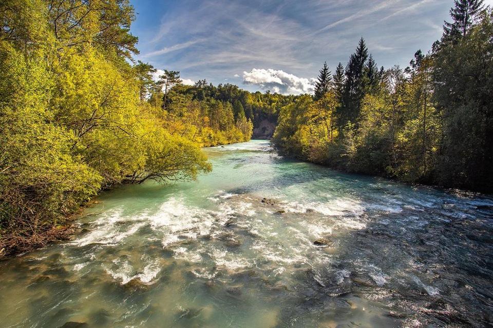 Sava River House -