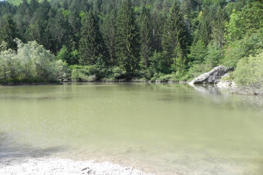 Apartment Sava River House - *